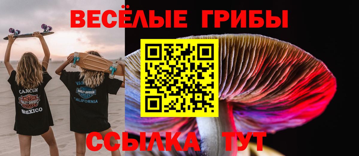 Галлюциногенные грибы Psilocybine cubensis Димитровград