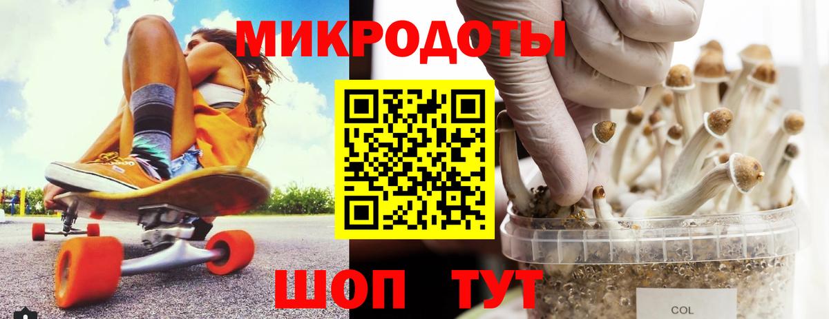 Димитровград  Псилоцибиновые грибы Cubensis  Вход с VPN  Псилоцибиновые грибы мухоморы 